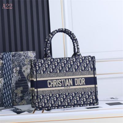 Dior Bags AAA 064